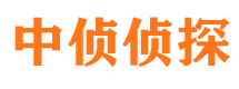 开县市私家侦探